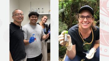 Professor Tao in lab with students, and Prof. Graham in fern forest holding samples in vials.